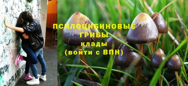 соль ск Михайловск