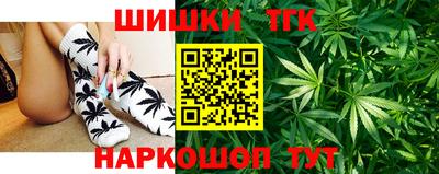 прущие грибы Гусиноозёрск