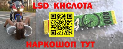 прущие грибы Гусиноозёрск