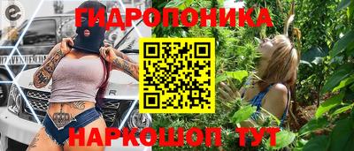 прущие грибы Гусиноозёрск