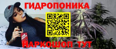 прущие грибы Гусиноозёрск