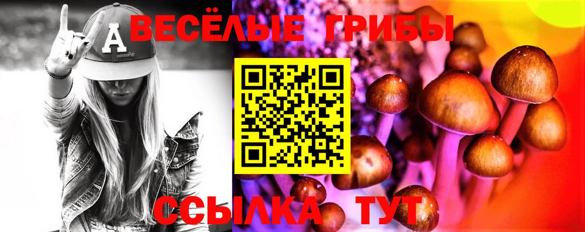 Псилоцибиновые грибы Magic Shrooms  Галлюциногенные грибы мухоморы  что такое   Таганрог 