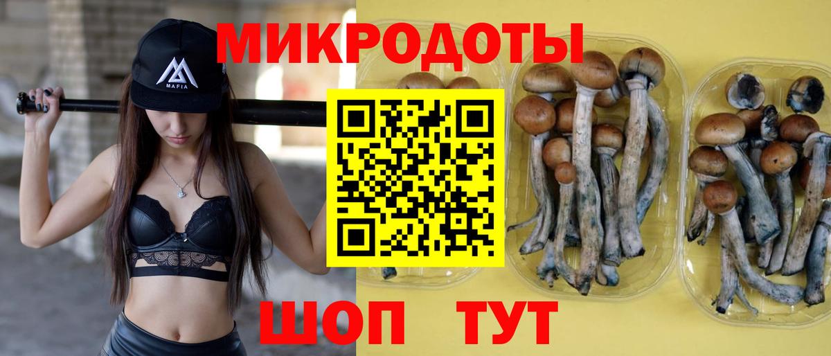 Псилоцибиновые грибы Psilocybine cubensis Таганрог
