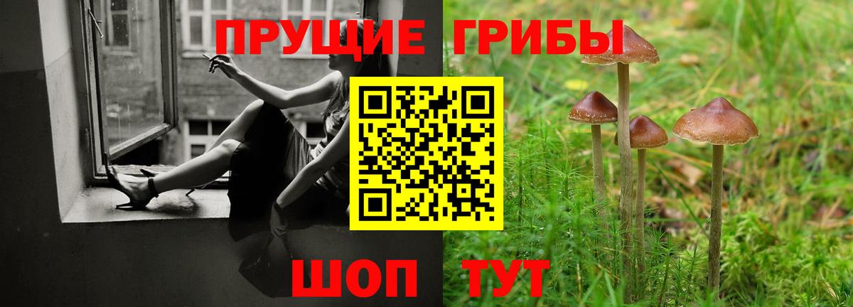 Псилоцибиновые грибы MAGIC MUSHROOMS  Вход с VPN  Таганрог 