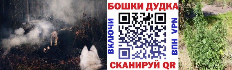Каннабис ГИДРОПОН  блэк спрут маркетплейс  Таганрог 